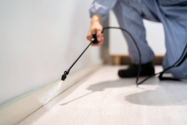 Bed Bug Pre-Treatment Preparation Assessment in Sturtevant