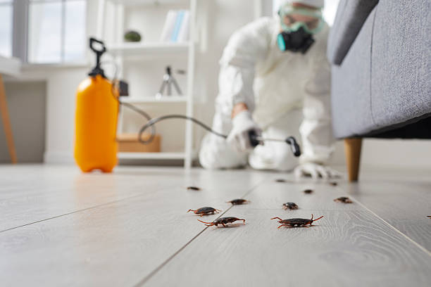Post-Treatment Bed Bug Interceptor Monitoring in Sturtevant