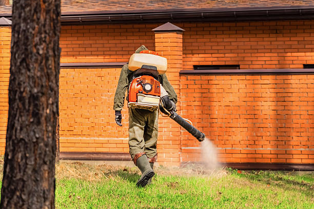 Bed Bug Clearance Verification and Documentation in Sturtevant